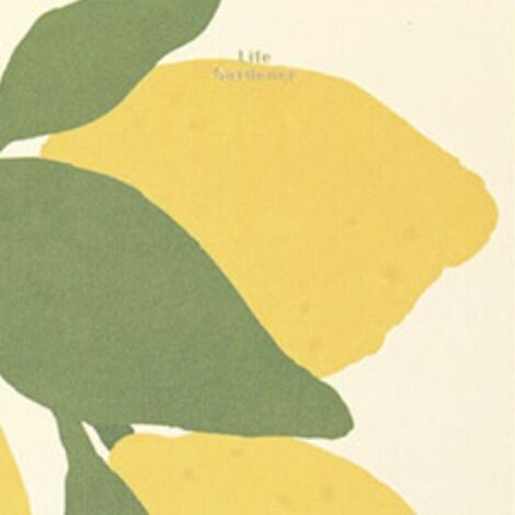 05 Lemon