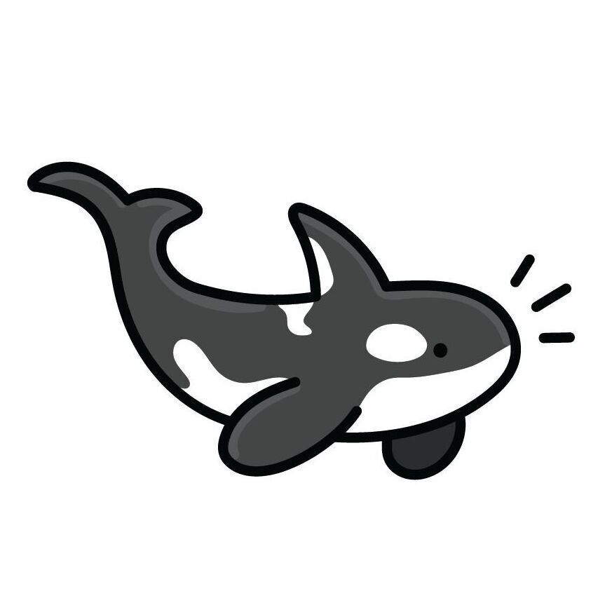 15 Orca v2