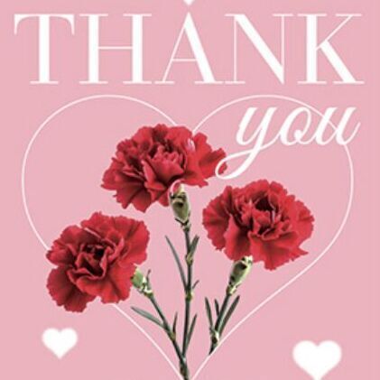 01 Red Carnation A