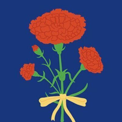 10 Navy Carnation