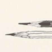 03 Pencils_Beige