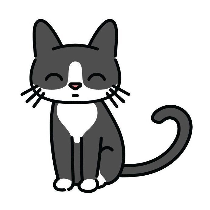 07 Tuxedo Cat