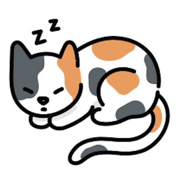 03 Calico Cat