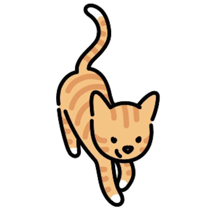 04 Orange Cat