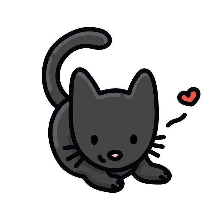 05 Black Cat