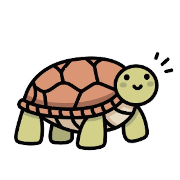13 Tortoise
