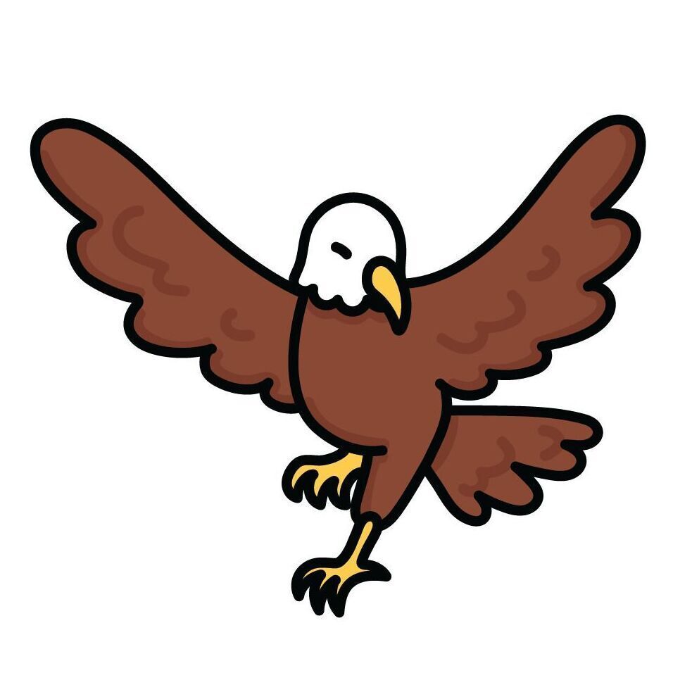 18 Bald Eagle