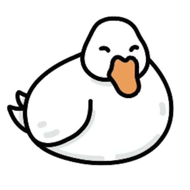19 Duck