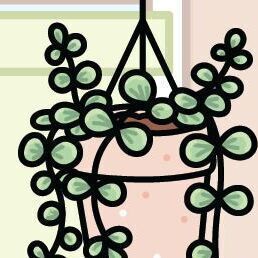 04 Window Shade
