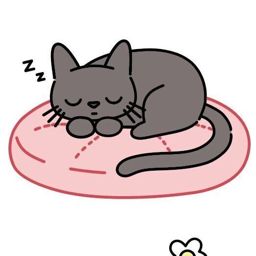 Cushion