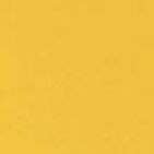 03 Mustard