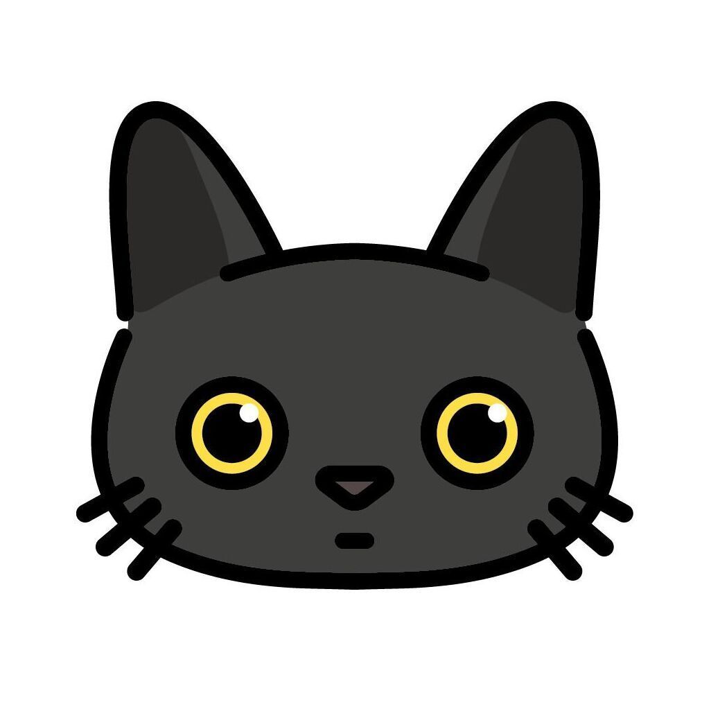 07 Black Cat