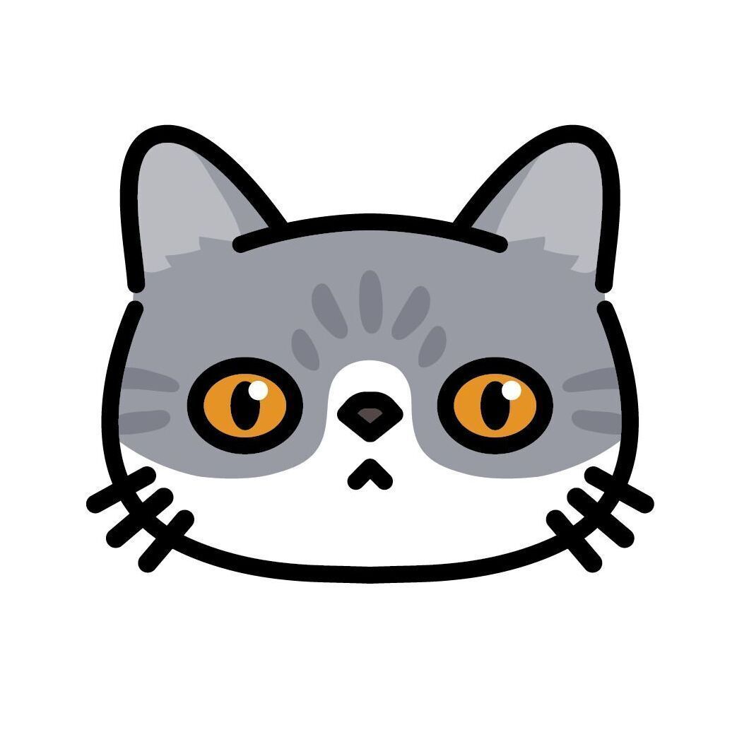 08 Exotic Shorthair