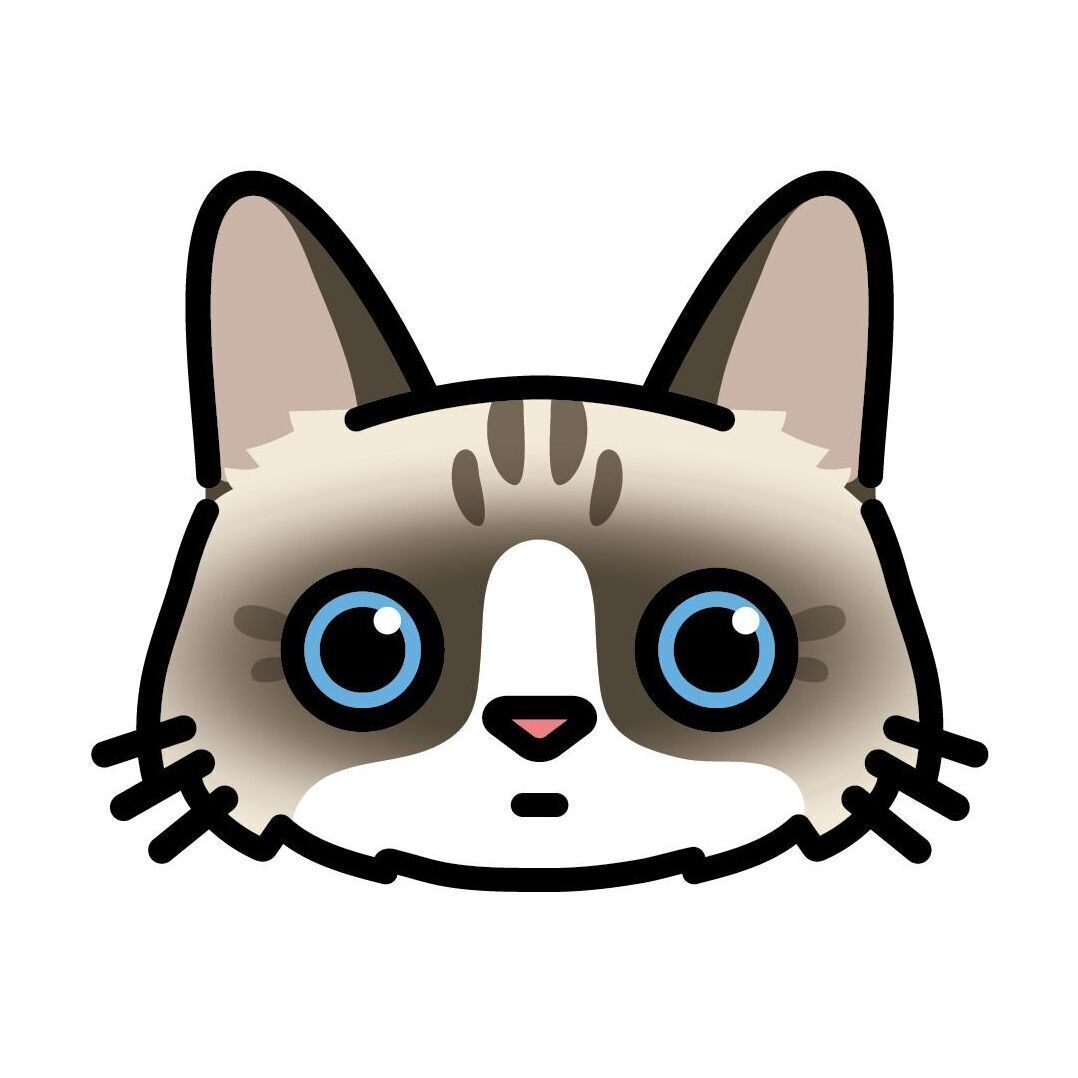 10 Ragdoll