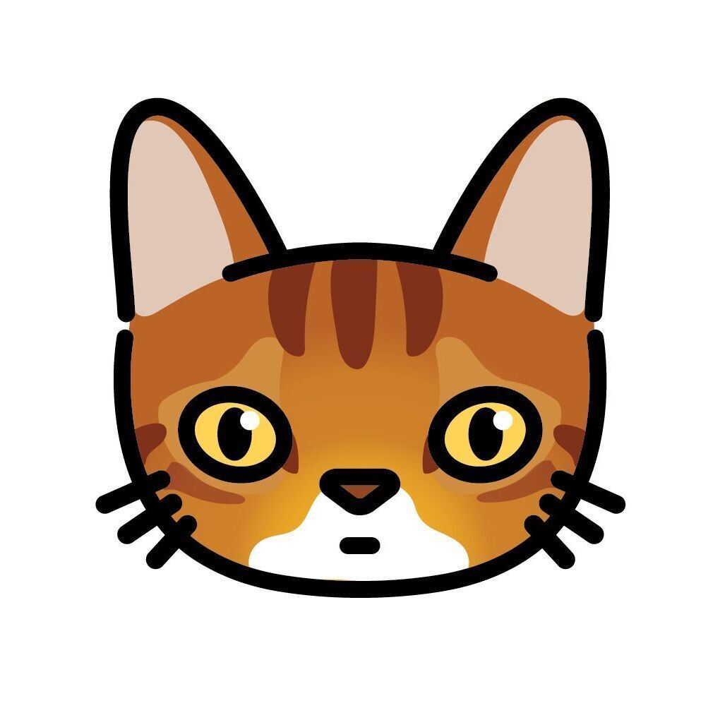 13 Abyssinian