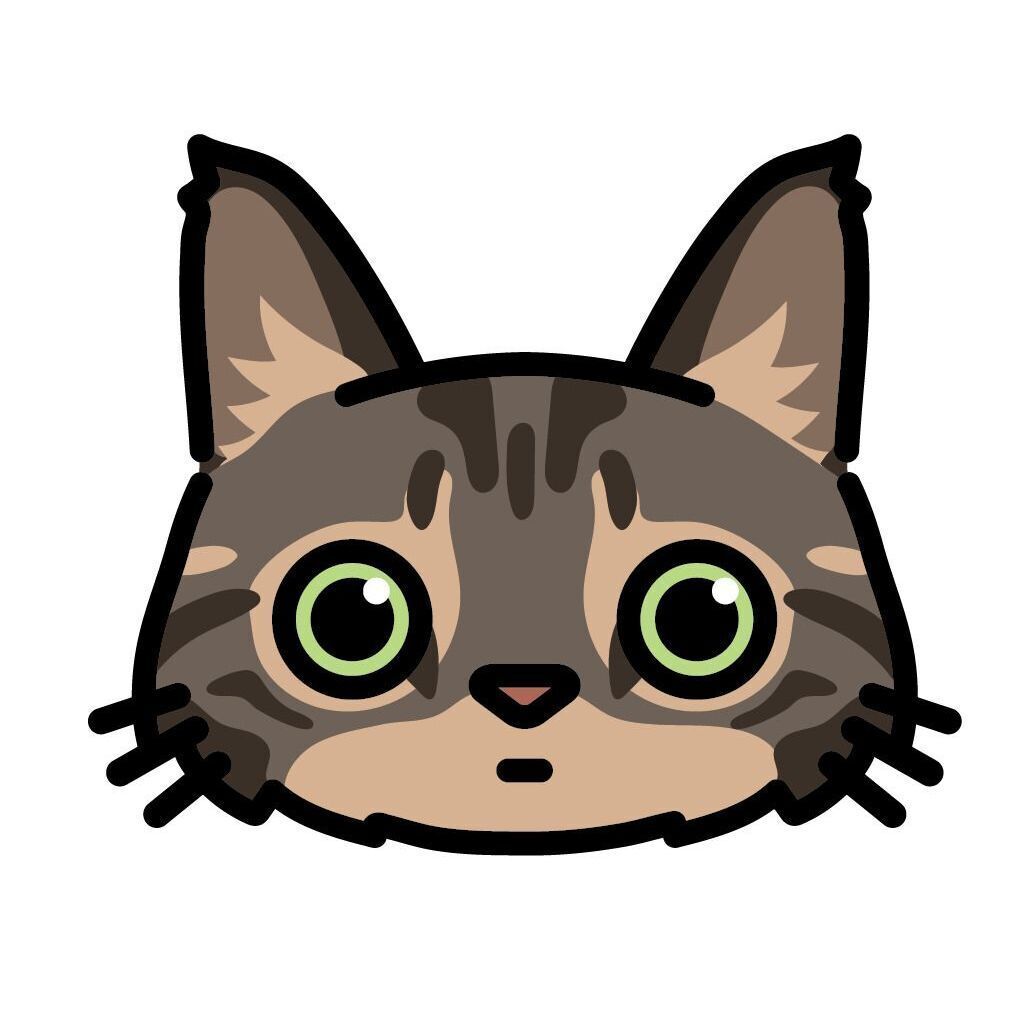 14 Maine Coon