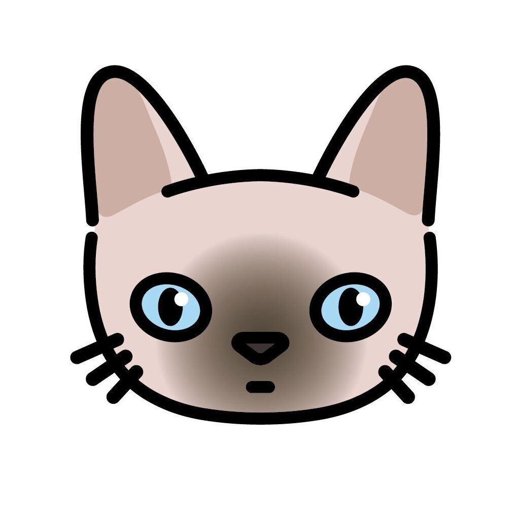 06 Sphynx