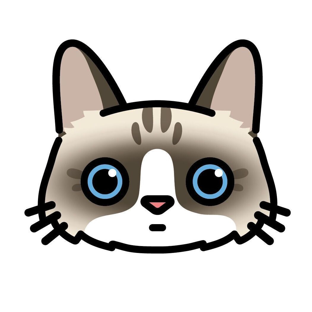 10 Ragdoll