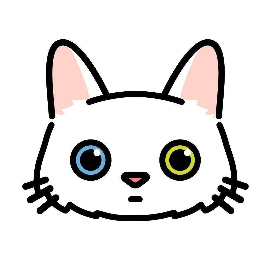 12 Turkish Angora