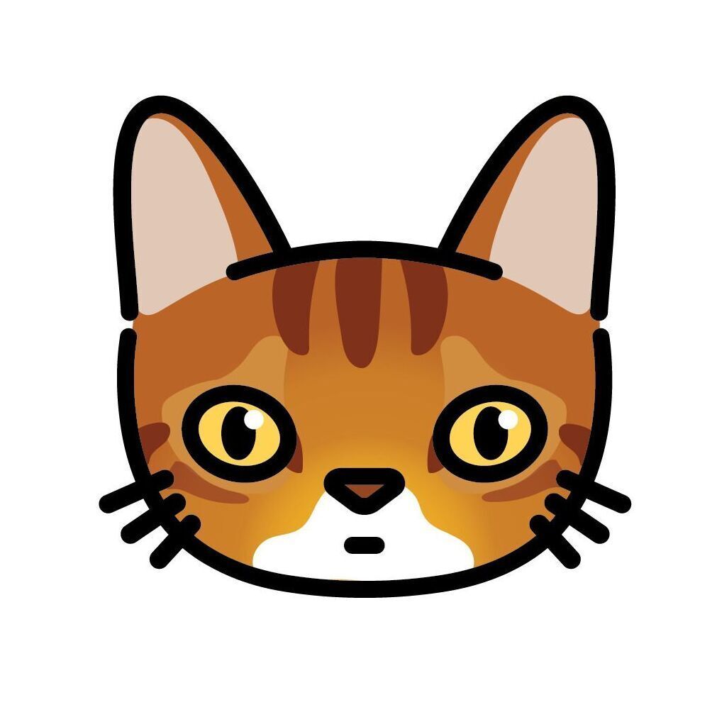 13 Abyssinian