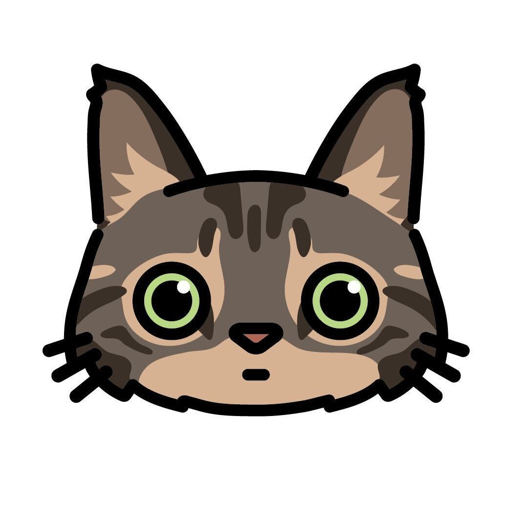 14 Maine Coon