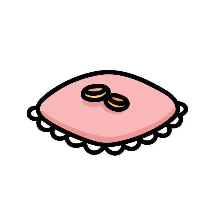 20 Ring Pillow