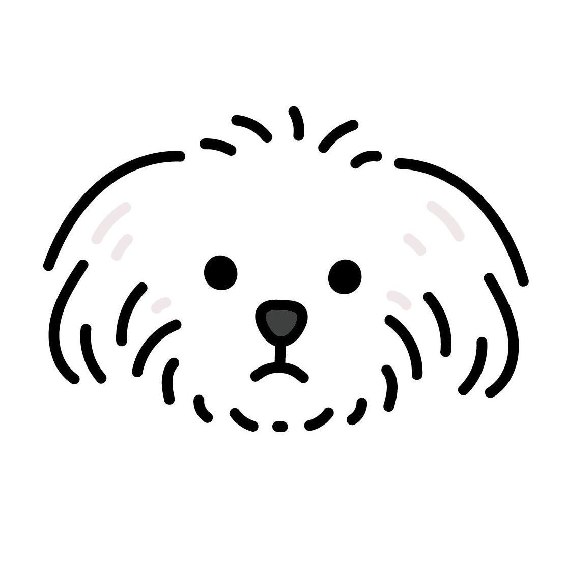 11 Maltese