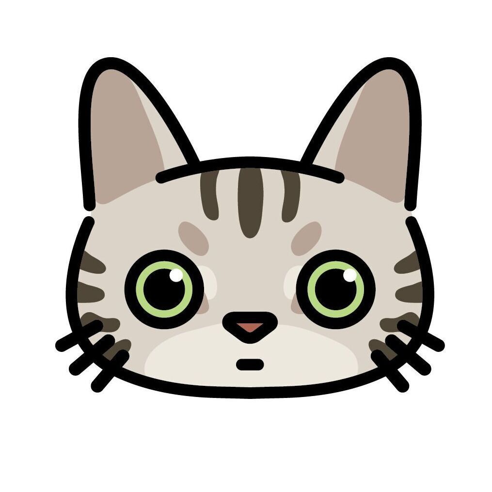 Set 03 American Shorthair