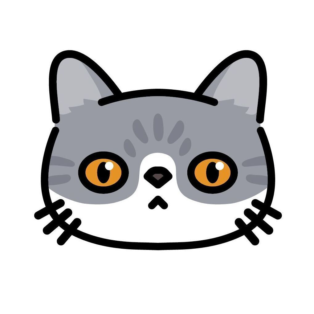 Set 08 Exotic Shorthair