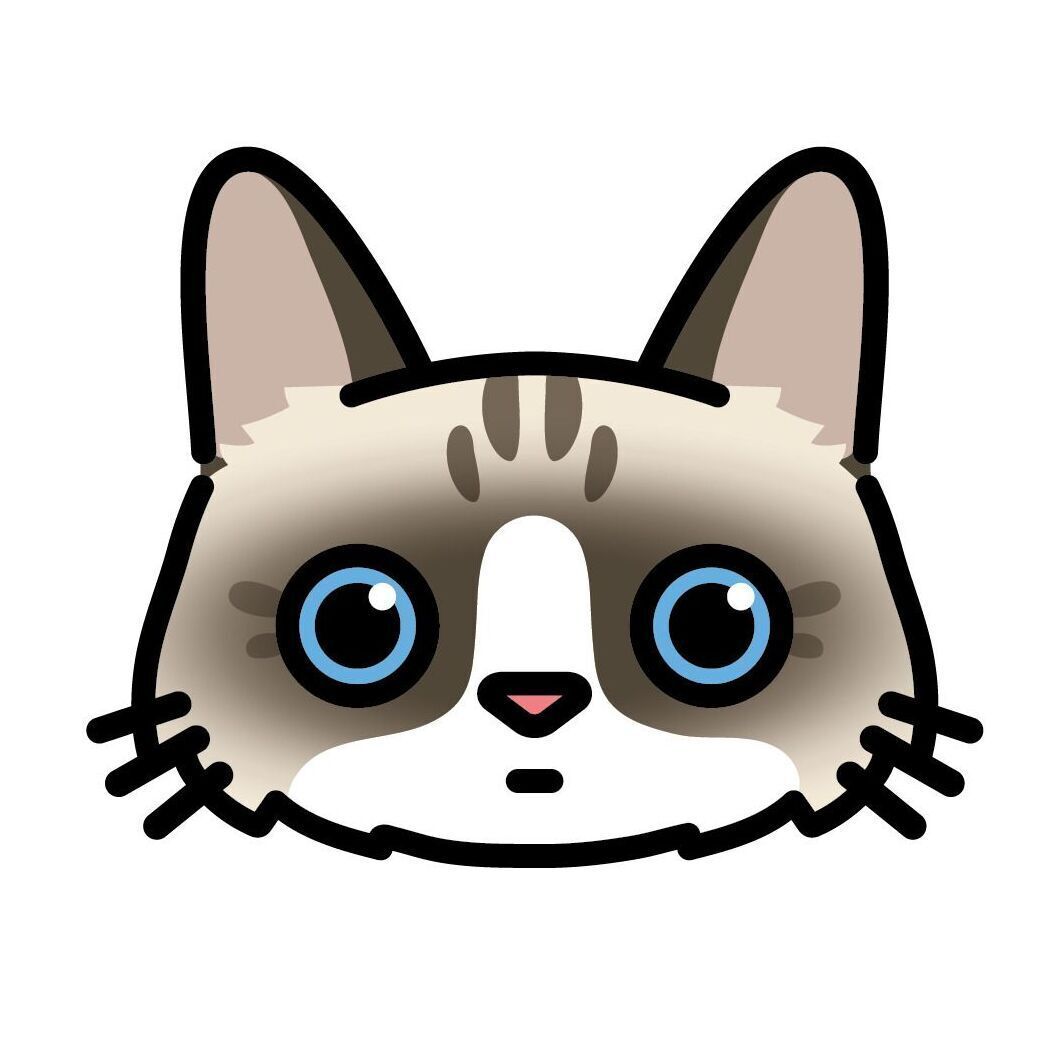 Set 10 Ragdoll