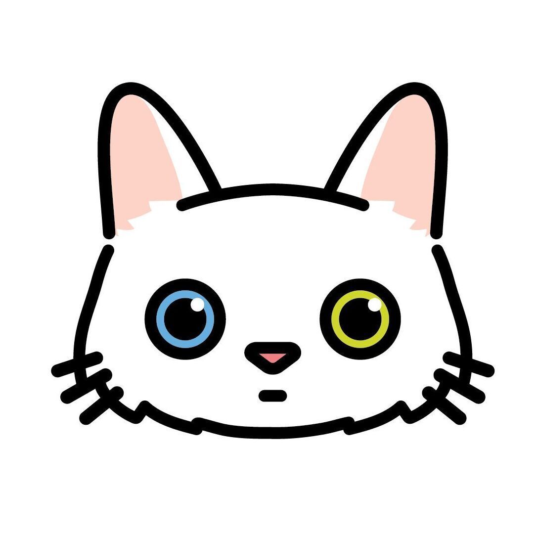Set 12 Turkish Angora