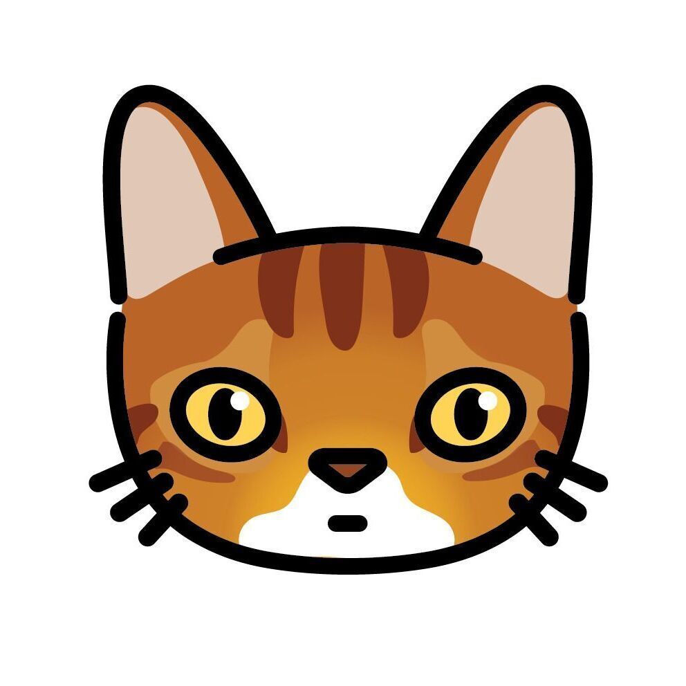 Set 13 Abyssinian