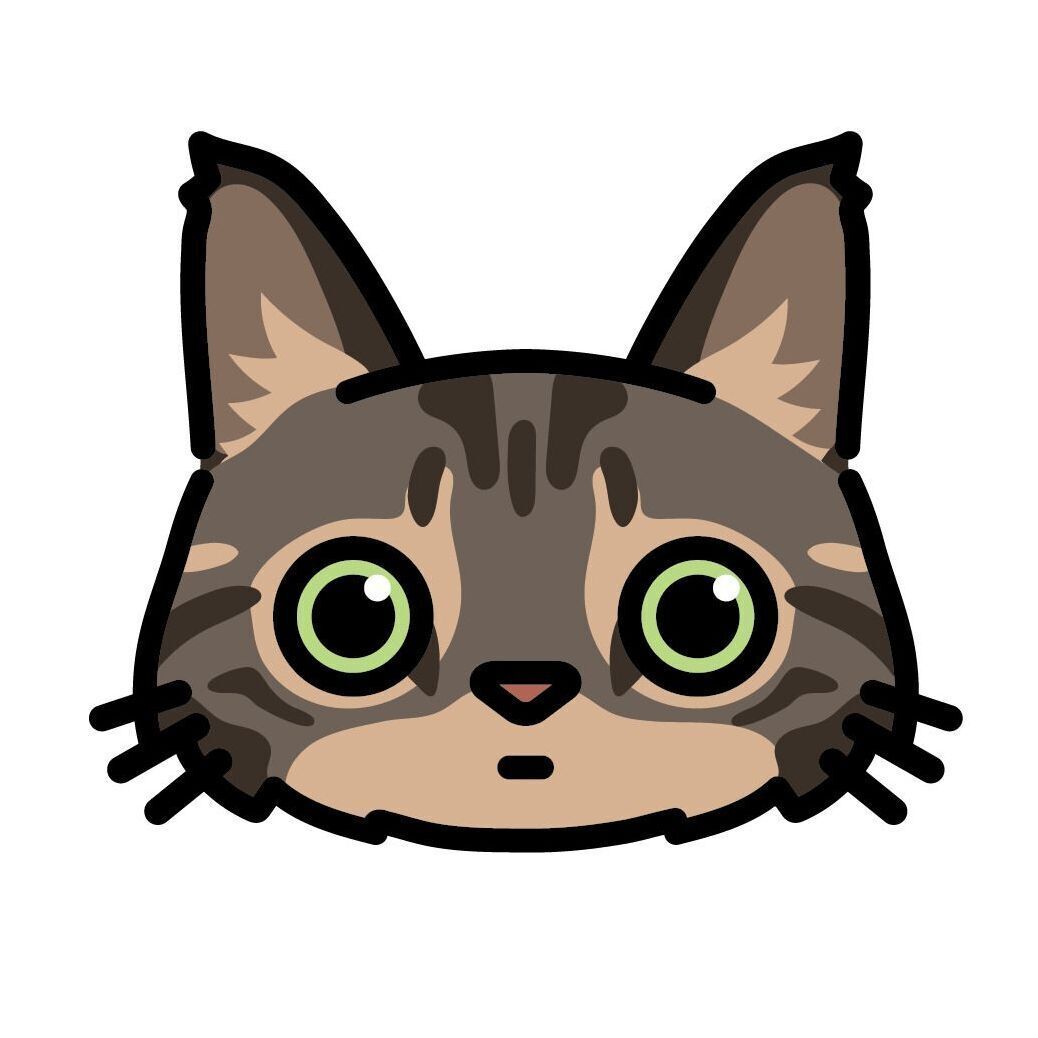 Set 14 Maine Coon