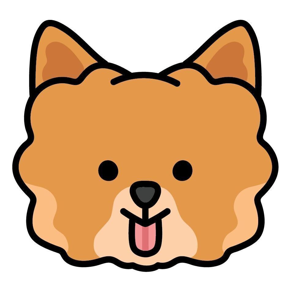 Set 12 Pomeranian