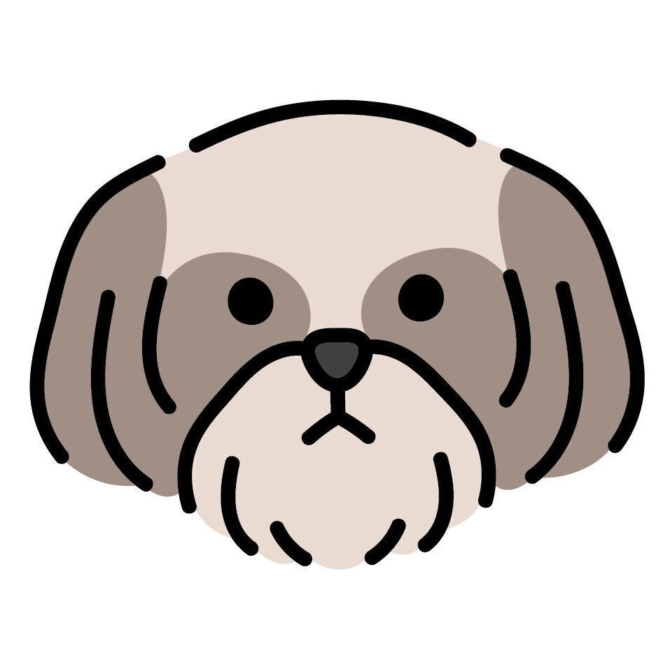 Set 13 Shih Tzu
