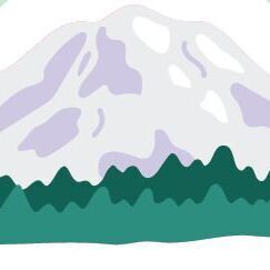 Transparent (1 sheet)