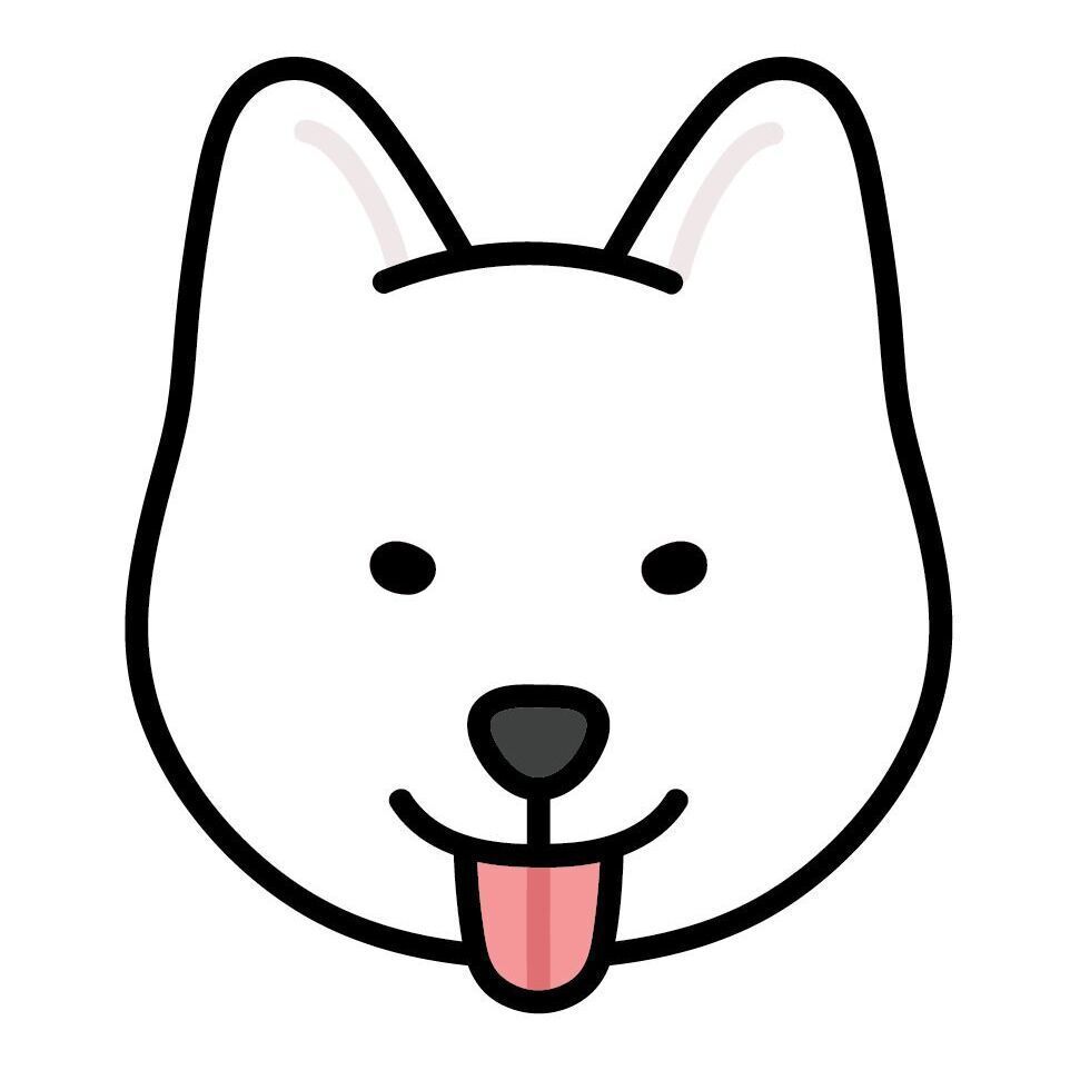 06 Jindo
