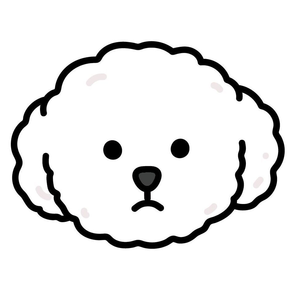 10 Bichon