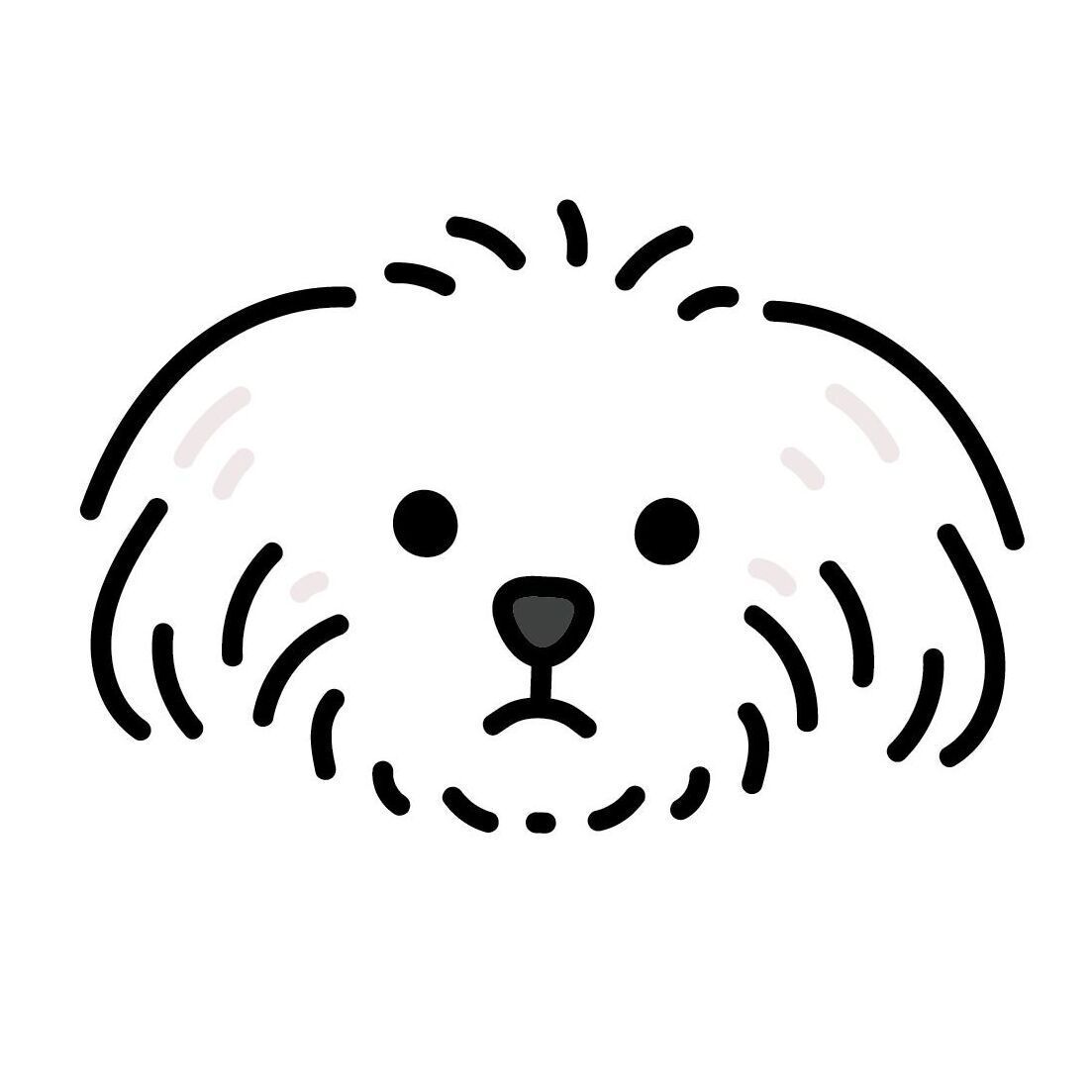 11 Maltese