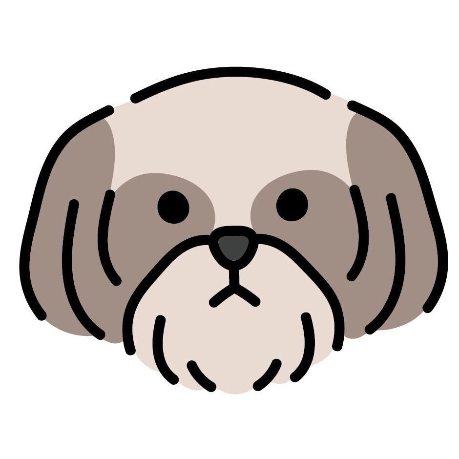 13 Shih Tzu