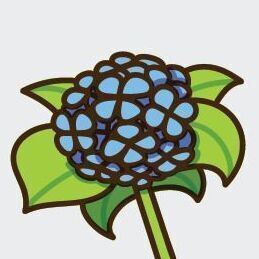 12 Hydrangea