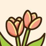 13 Tulip