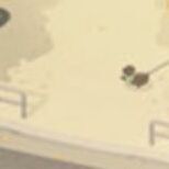 02 Dog Walking