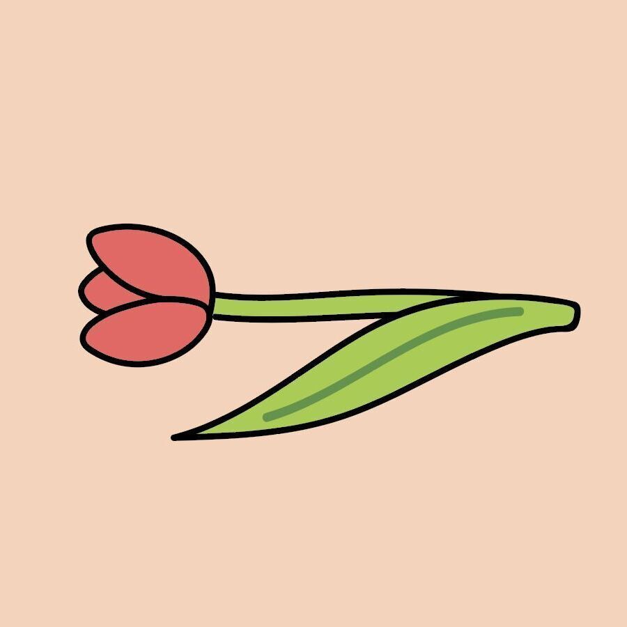 02 Tulip