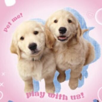 Puppy Best Friends