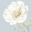 07 Blue Peony Garden
