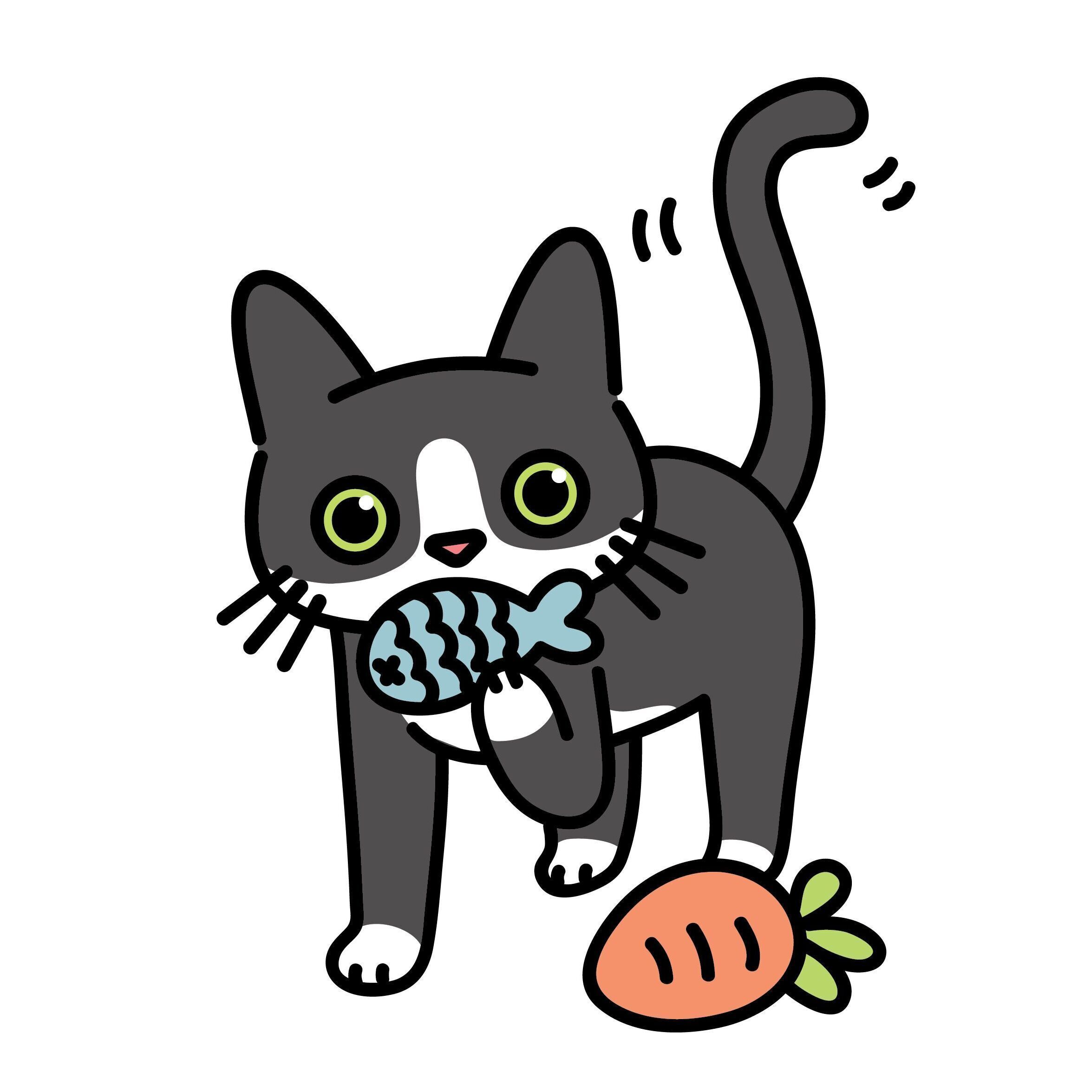 02 Playing Tuxedo