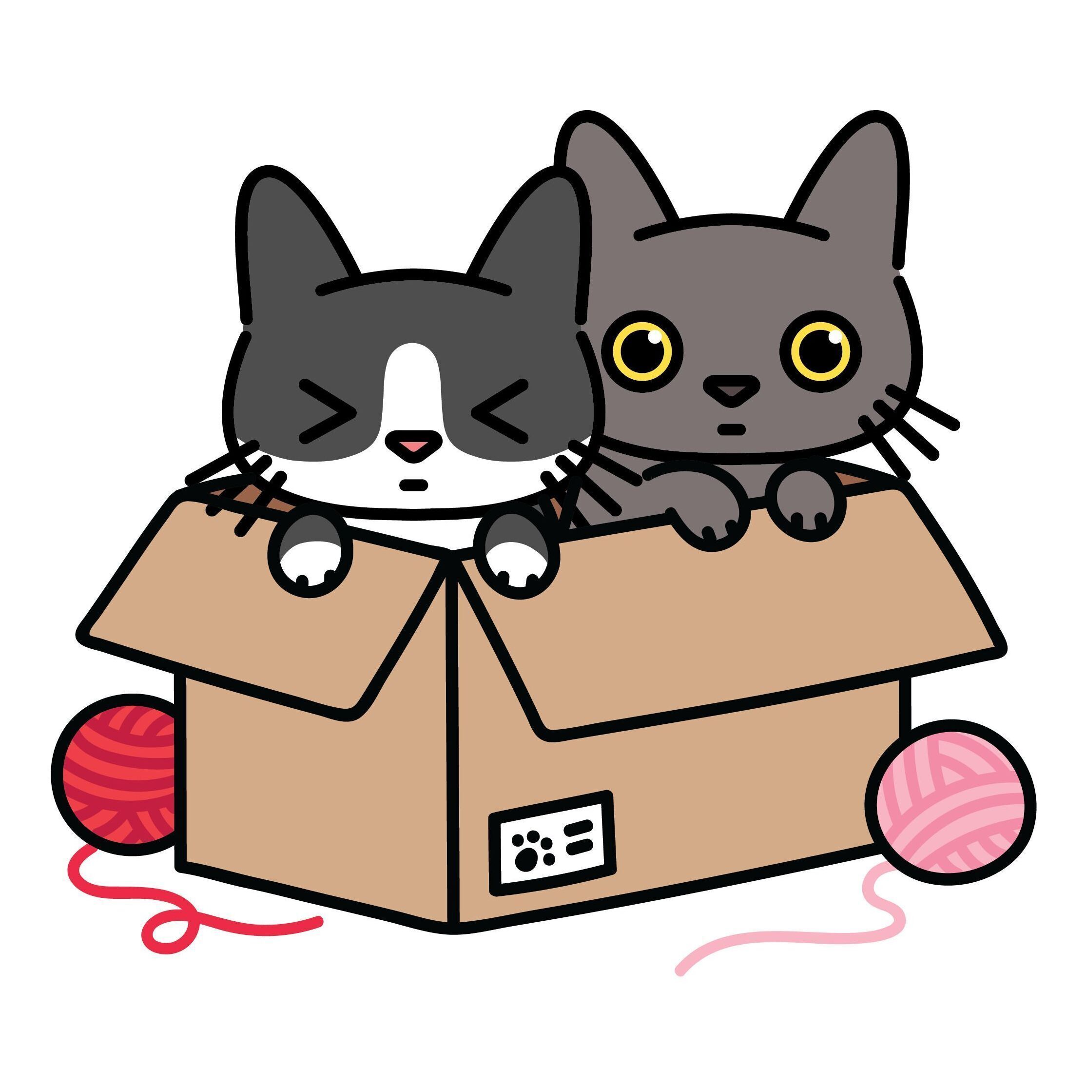 06 Peekaboo Box