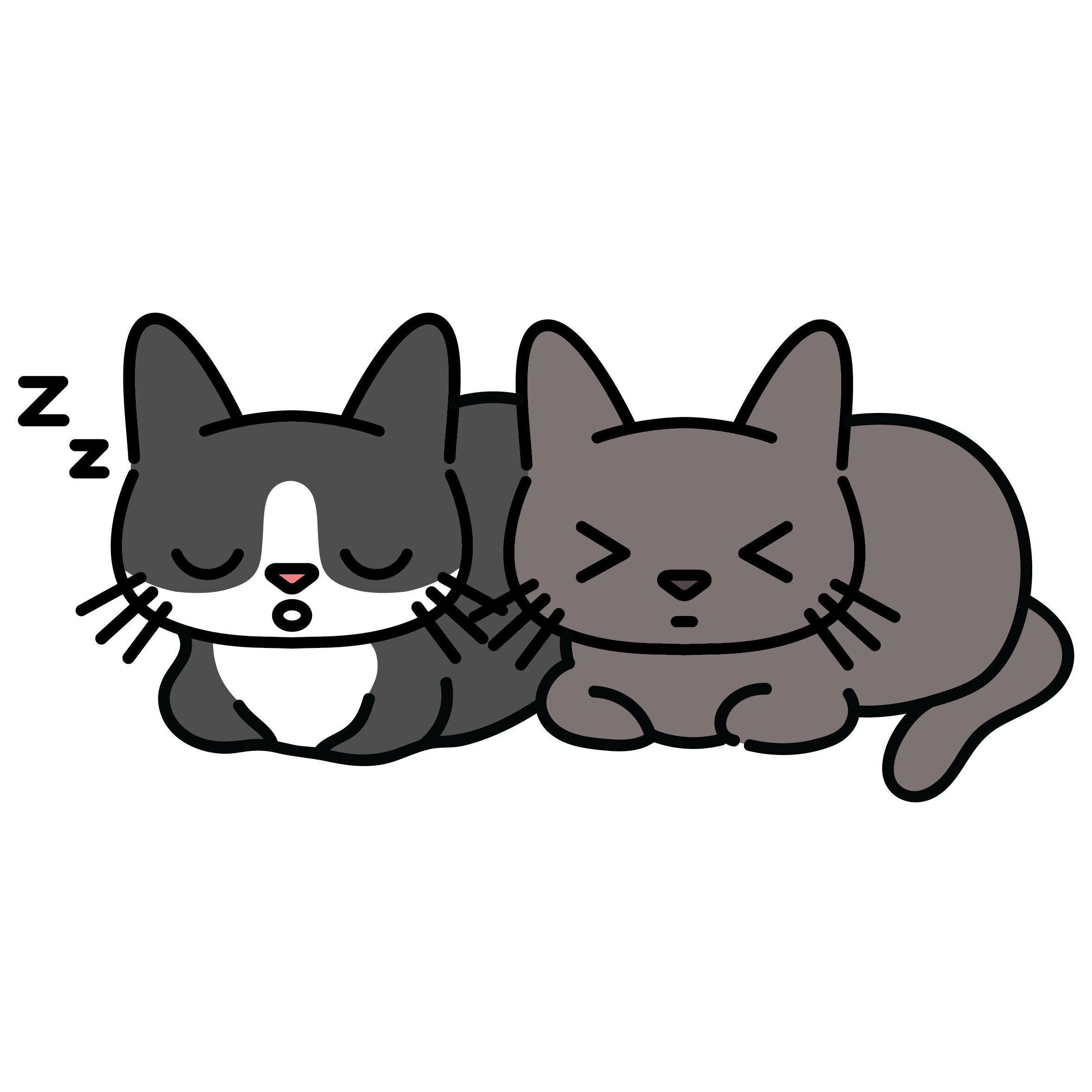 07 Cat Loaf