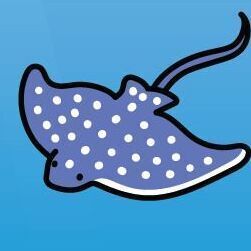 10 Spotted Ray